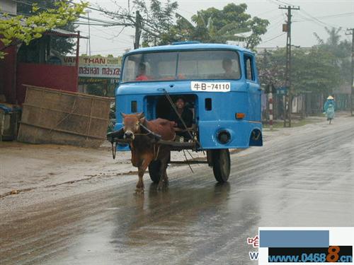 海欣股份庄家比较牛_海欣股份(600851)股吧_