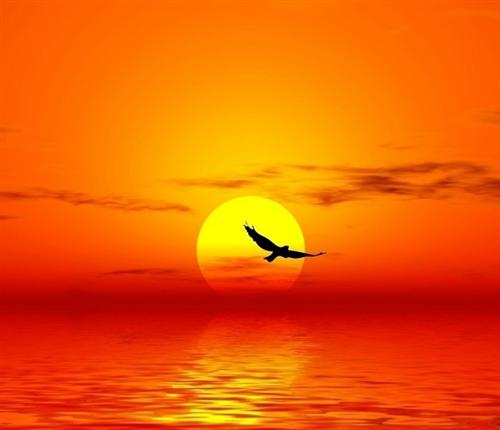 心若在,梦就在,大不了从头再来_联创节能(300