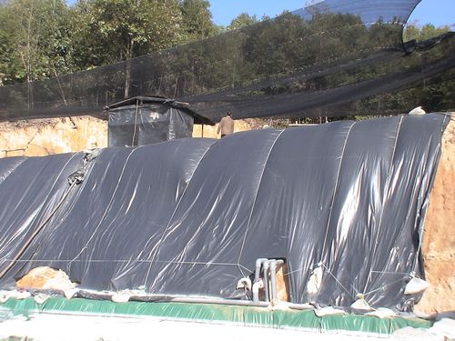 福建林业职业技术学院_福建永安林业收入构成(2)