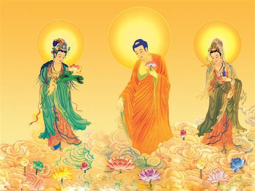 阿弥陀佛_金卡股份(300349)股吧_东方财富网