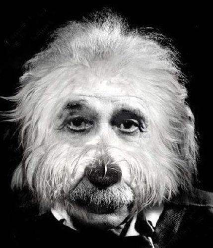 都说明天要涨停,为啥?_永太科技(002326)股吧