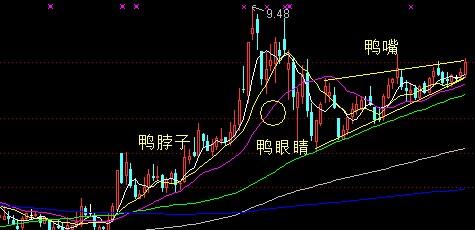 老鸭头过前头_海欣股份(600851)股吧_东方财富网股吧