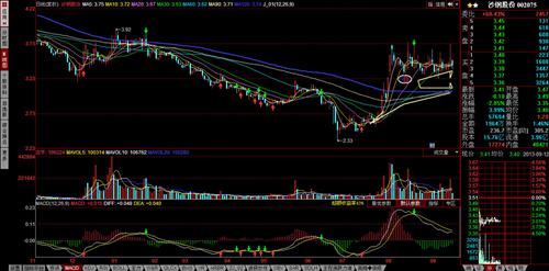 沙钢的未来-飞龙在天_沙钢股份(002075)股吧_