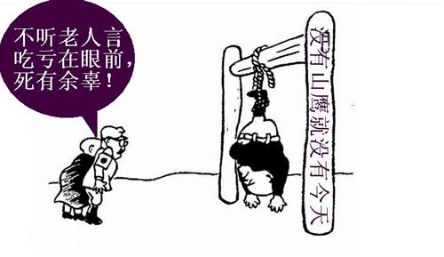 不听老人言 表情分享展示
