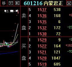 天弘基金三股东君正天天涨停,大股东海泰天天
