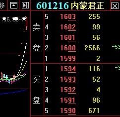 天弘基金三股东君正天天涨停,大股东海泰天天