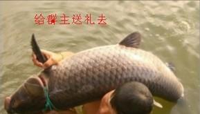 300191庄家有新目标_潜能恒信(300191)股吧_