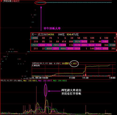 600209罗顿发展股吧-罗顿发展最新消息\/6002