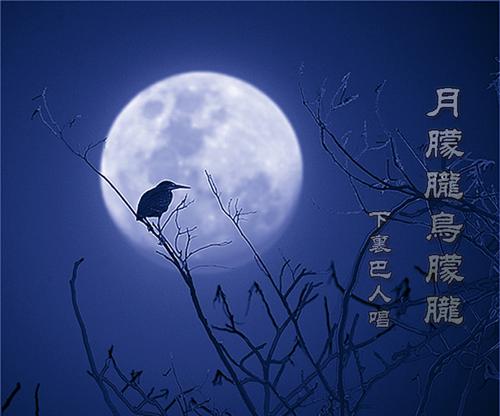 月朦胧鸟朦胧海默也朦胧