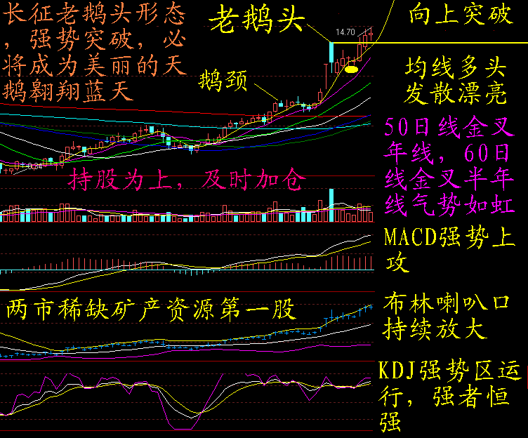 长征电气:坐拥2200亿稀矿 老鹅头强势突破 买入_天成