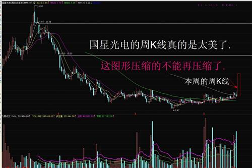 开盘就买进002449国星光电._国星光电(00244