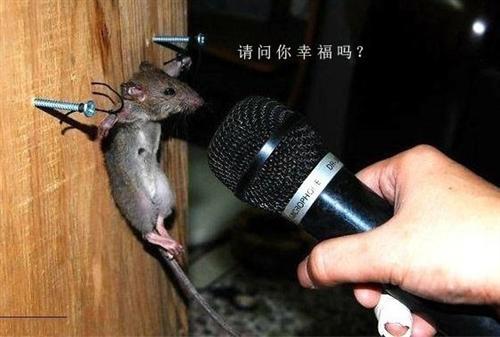 600971注定要亏掉库子_恒源煤电(600971)股吧