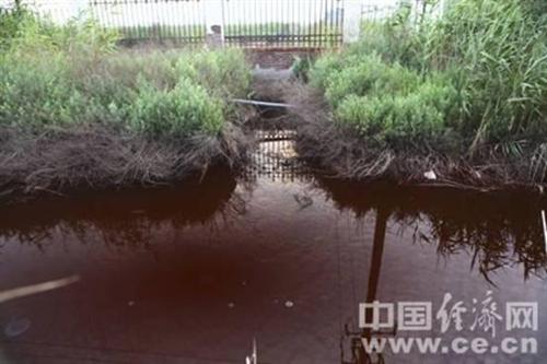 明盛化工就被媒体曝光_浙江龙盛(600352)股吧