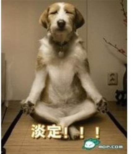 淡定_永泰能源(600157)股吧_东方财富网股吧