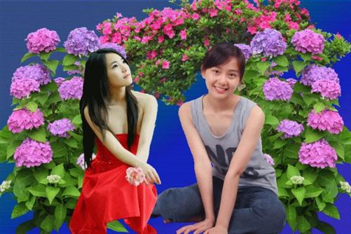 华录百纳为啥停牌_【手机观看】华录百纳停牌图片网
