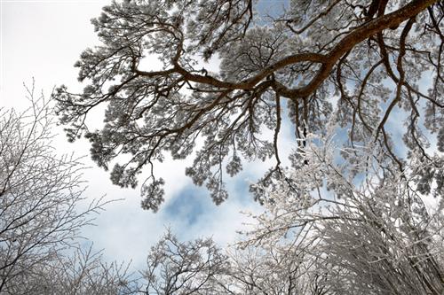 严冬即将过去传化的春天快来了_传化股份(002
