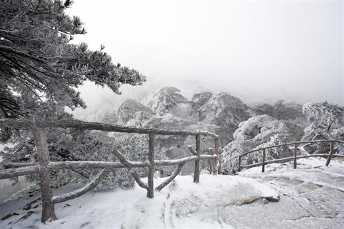 严冬即将过去传化的春天快来了_传化股份(002