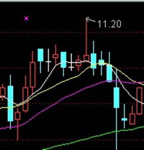 002333最新进展!002333_罗普斯金(002333)股
