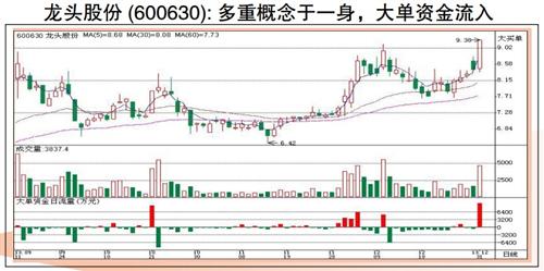 龙头股份 (600630): 多重概念于一身,大单资金流