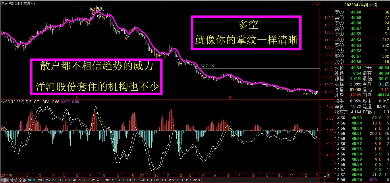 002304洋河股份权威分析