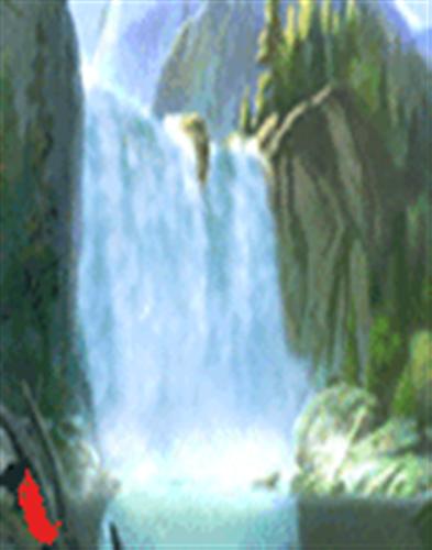 明明知道暴跌为什么要止盈?不是弱智是什么呢