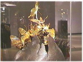 继大妈蚁后大蚁蚂们日夜兼程小蚂蚁们匍匐后继