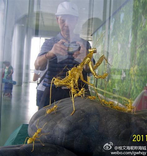 经不断的日以继夜的工顶蚂蚁们终于来到大地底