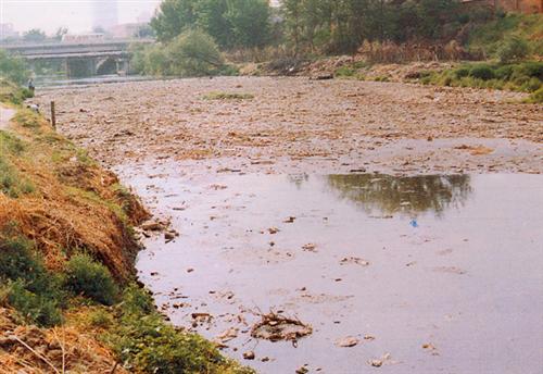 水污染_重庆水务(601158)股吧_东方财富网股