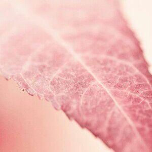 主力马上拉升_重庆路桥(600106)股吧_东方财