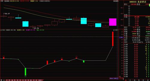 北京君正 处在下降通道中的强势涨停_北京君正
