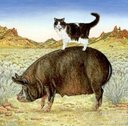 大恒大牛起飞!_大恒科技(600288)股吧_东方财