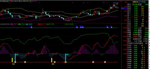 主力越洗散户越多_东方宾馆(000524)股吧_东