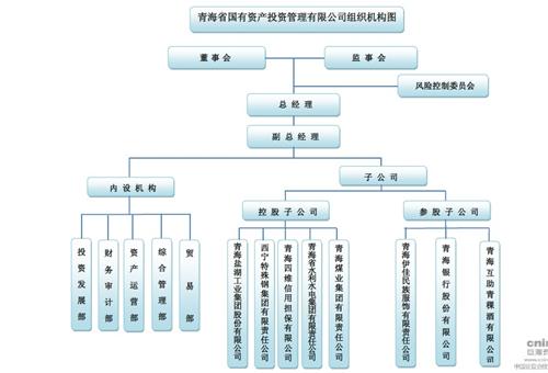 青海省国有资产投资管理有限公司组织机构图_