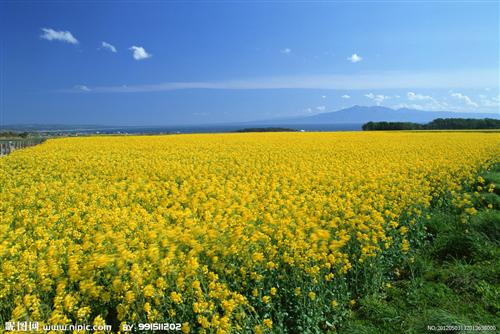 最好的东西,最低的价格,久跌必涨的股票_工商
