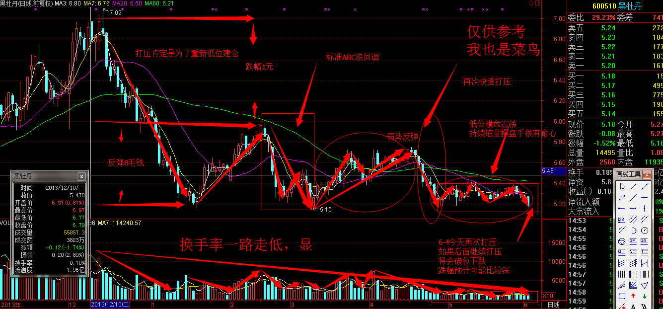 分享2只实盘失败的股票_黑牡丹(600510)股吧_东方财富