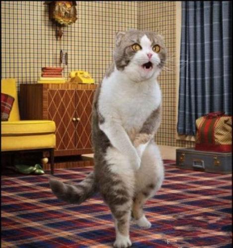 以后就知道了--有大小便解禁的股票不能碰!_蓝