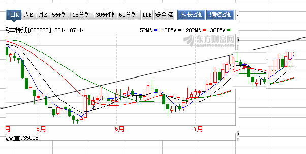 民丰特纸_民丰特纸股吧_600235民丰特纸 - 图
