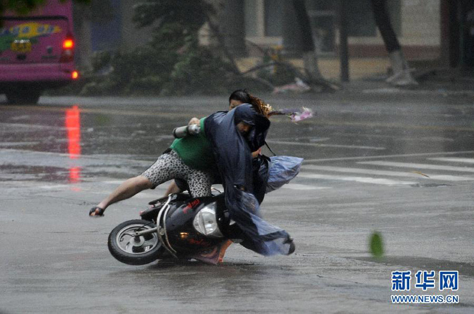 超强台风"威马逊"登陆华南:雷达股 一飞冲天