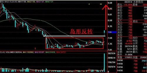 大岛形反转. 下周直上 10 元._永新股份(002014)股吧_东方财富网股吧