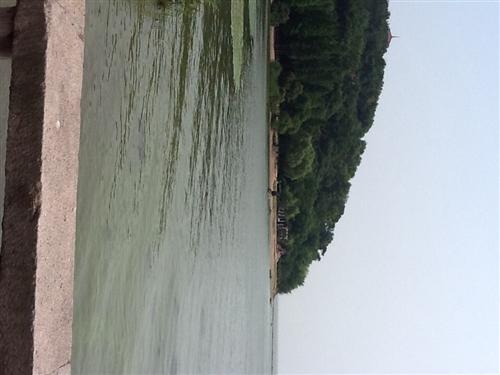 引水工程_郴电国际(600969)股吧_东方财富网