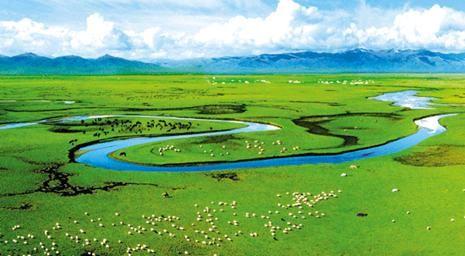 《爸爸2》最"牛"拍摄地 伊利牧场!_伊利股份(600887)美股吧_东方财富网股吧