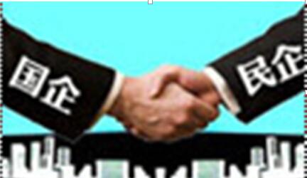 混合所有制政改革_辽宁成大(600739)美股吧_