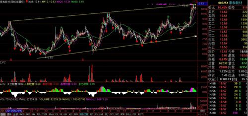 泰和新材趋势图附上_泰和新材(002254)股吧_