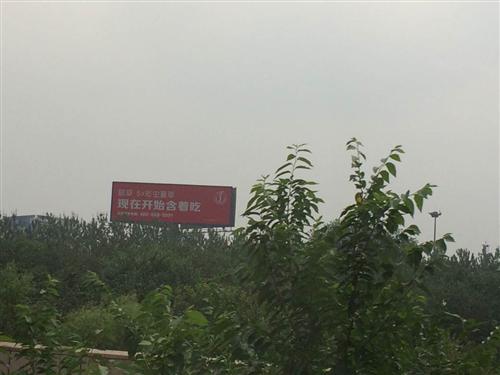 极草最近各地疯狂广告_*ST贤成(600381)港股