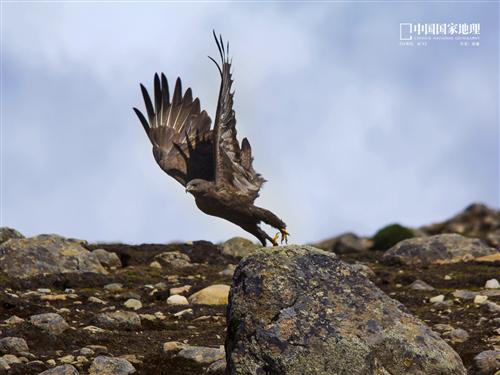 同志们冲啊_长源电力(000966)股吧_东方财富