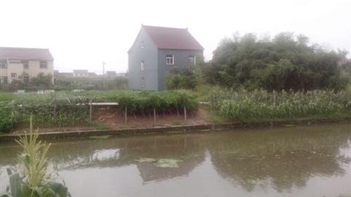 002043低价格股票的新黑马,详细请到那个吧看