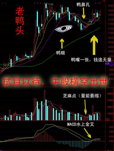 东方钽业_东方钽业(000962)股吧_东方财富网