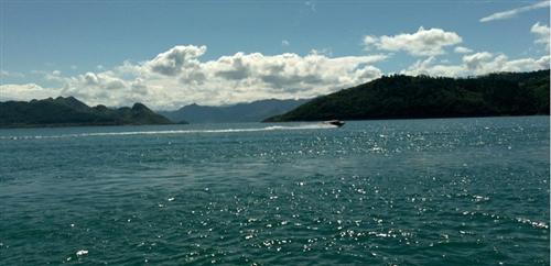 美丽的东江湖_郴电国际(600969)股吧_东方财