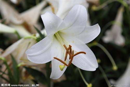 当虚似股多杀多时.江西老表才会突然表现._江