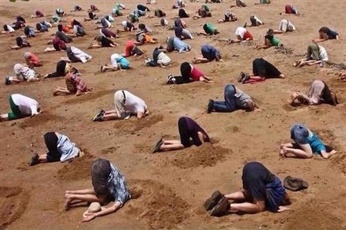 中国建筑愚昧散户_中国建筑(601668)港股吧_东方财富网股吧